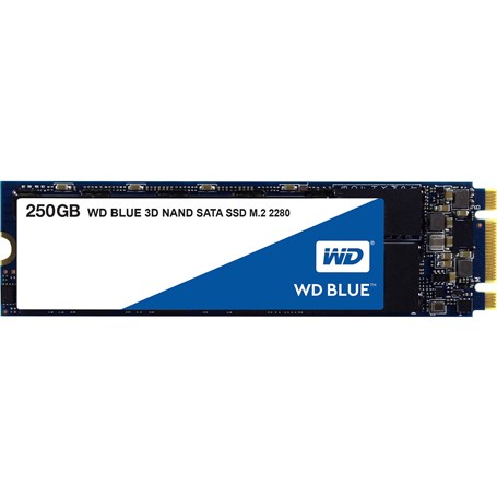 WD 250GB 3D Nand Sata Blue 2280 M.2 SSD WDS250G2B0B